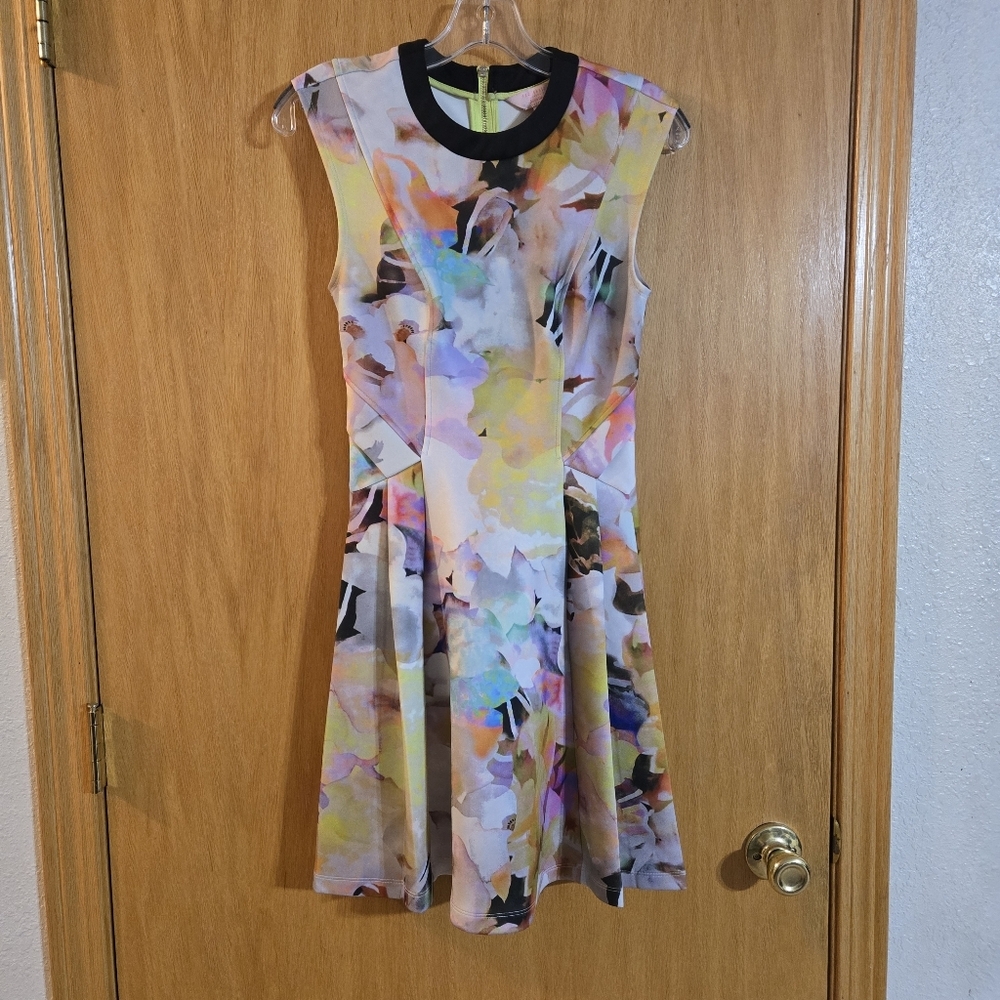Ted Baker London Jeneyy Dress